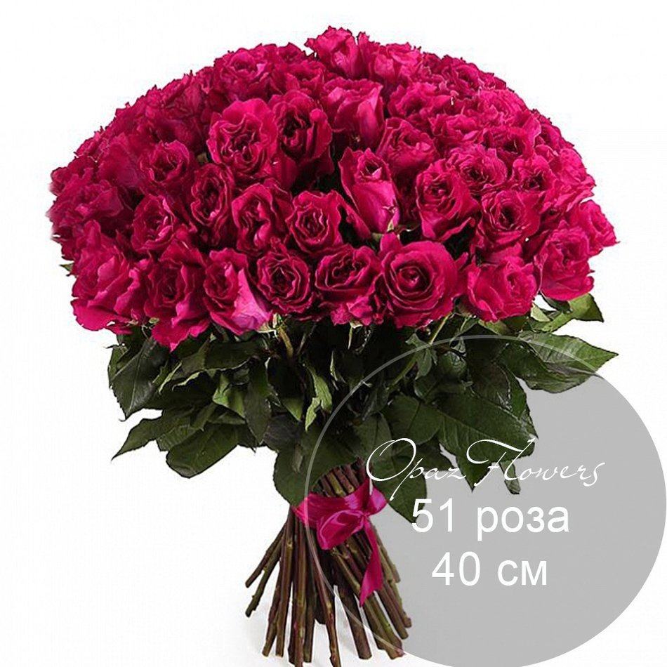 Шангри ла роза