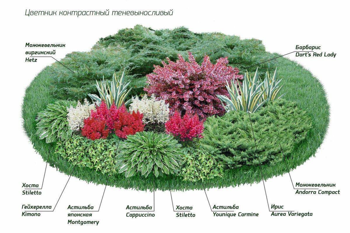 Клумбы миксбордеры непрерывного цветения