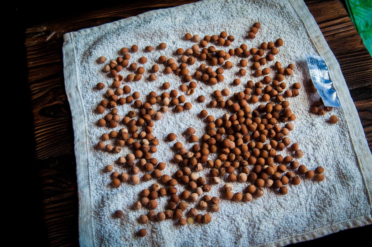 Поделки из вишневых косточек