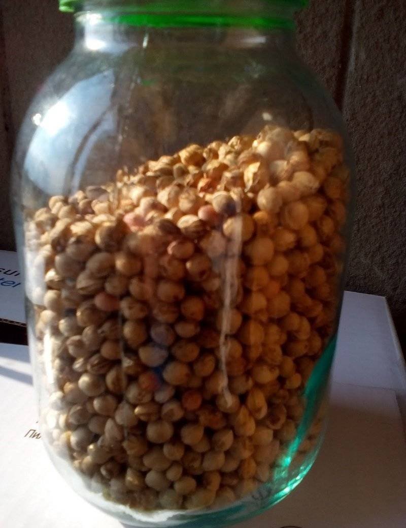Вишневая косточка