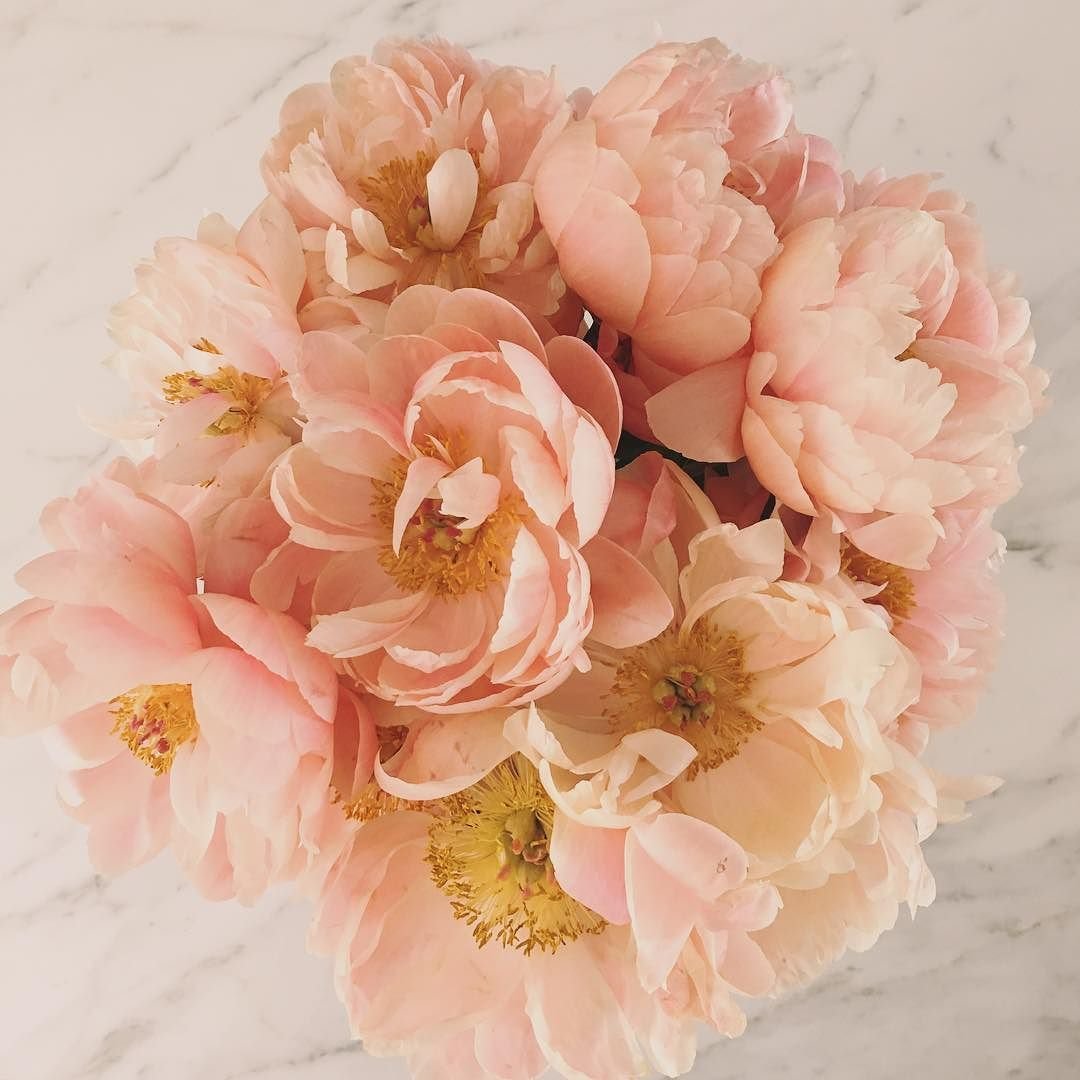 Peach Peony Jasmine набор