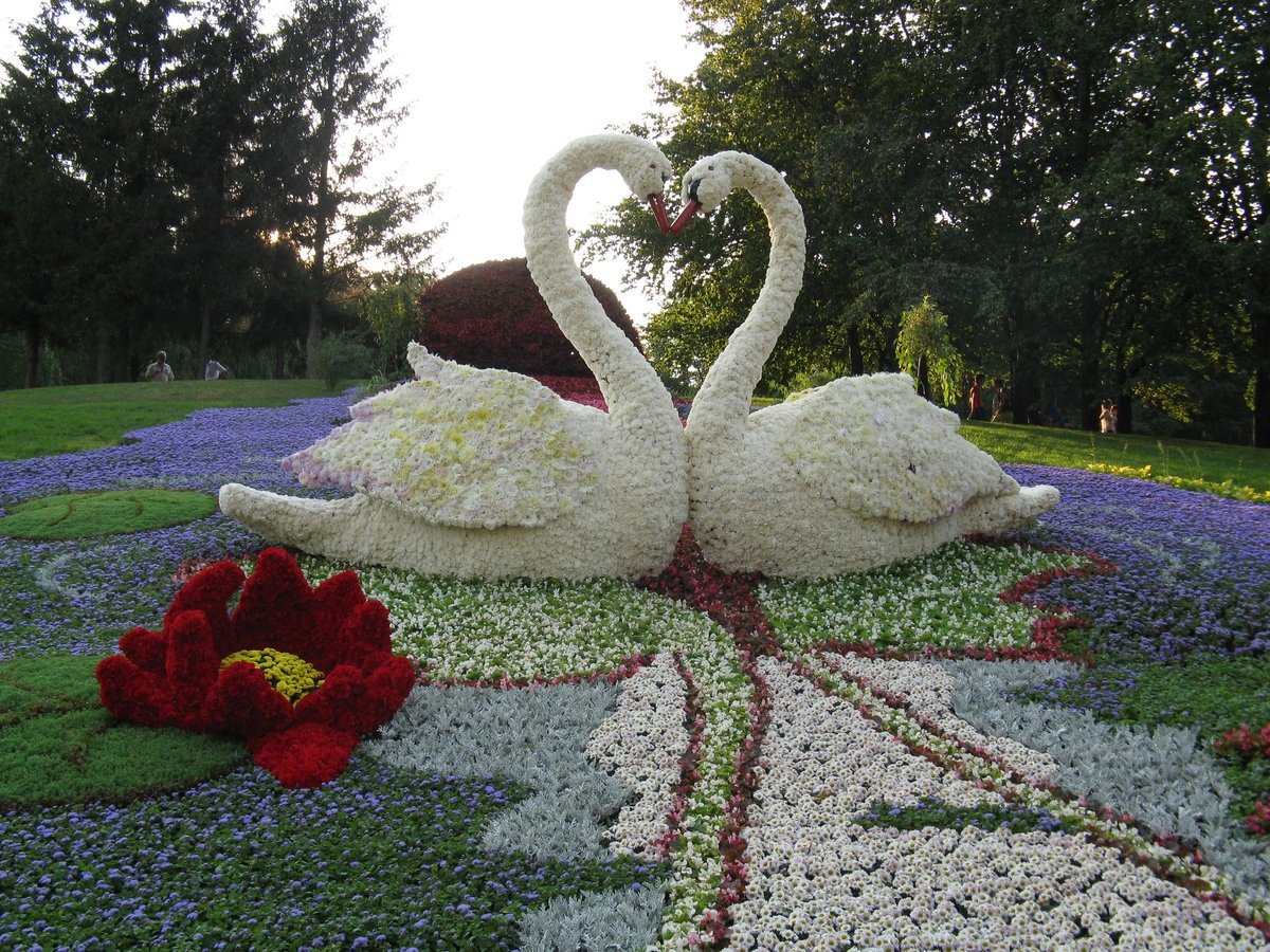 Природа сердце из цветов