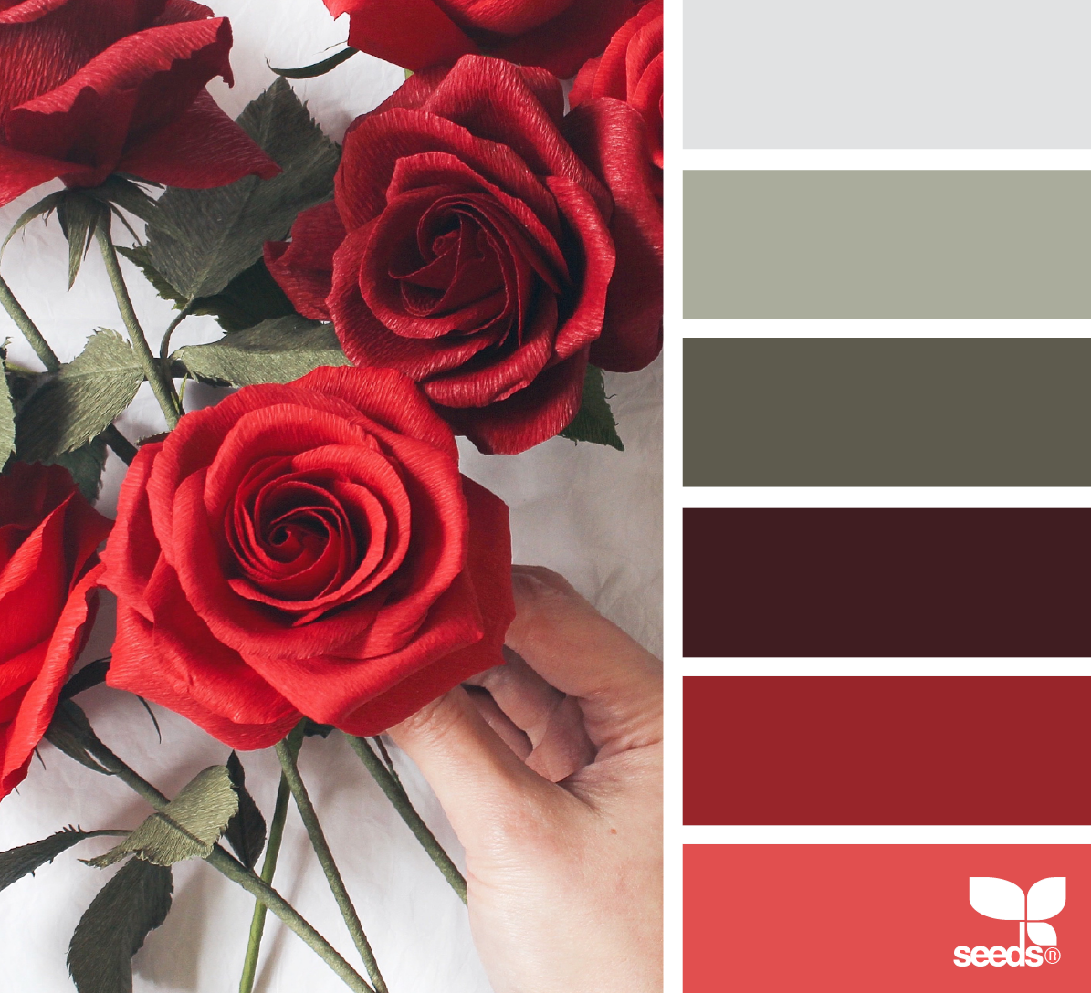 Seeds Color Palette красный