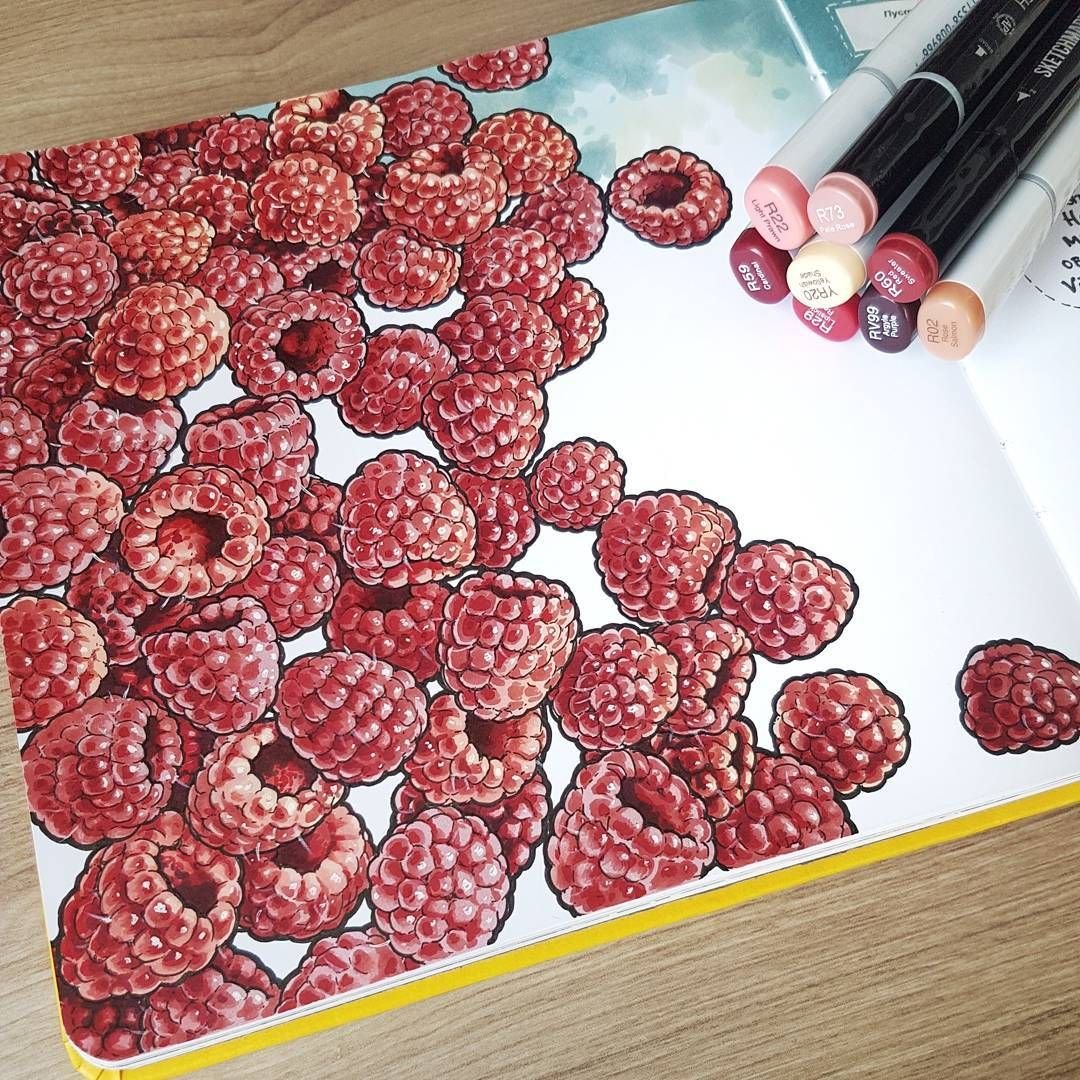 Скетчинг малина