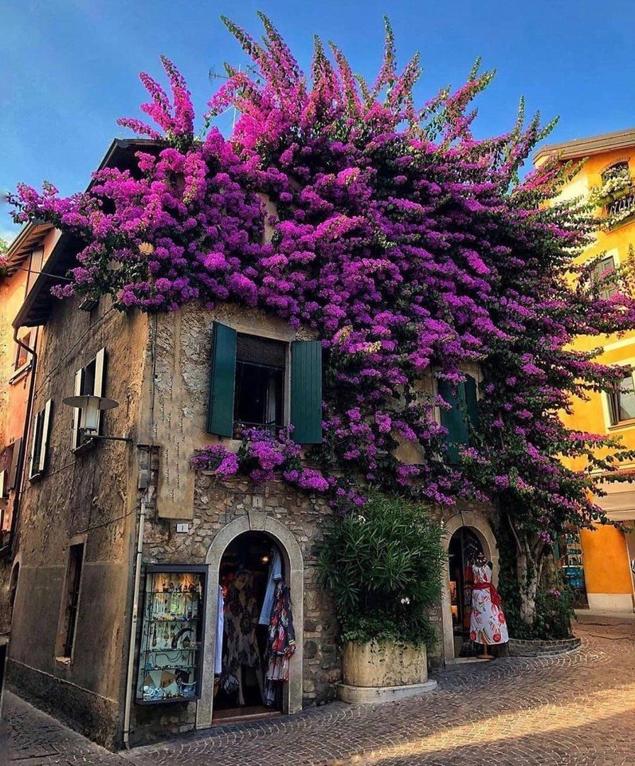 Sirmione Италия дом с бугенвиллией