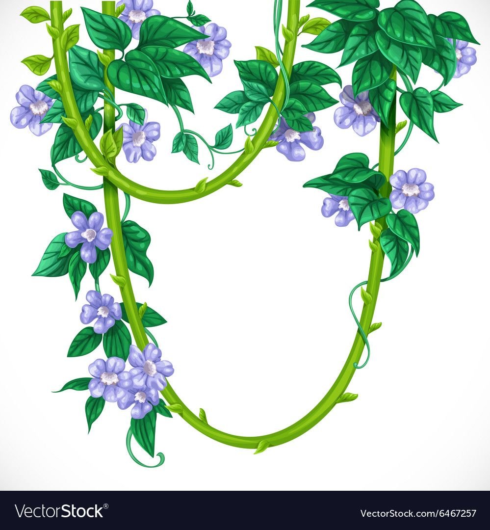 Лианы мультяшные