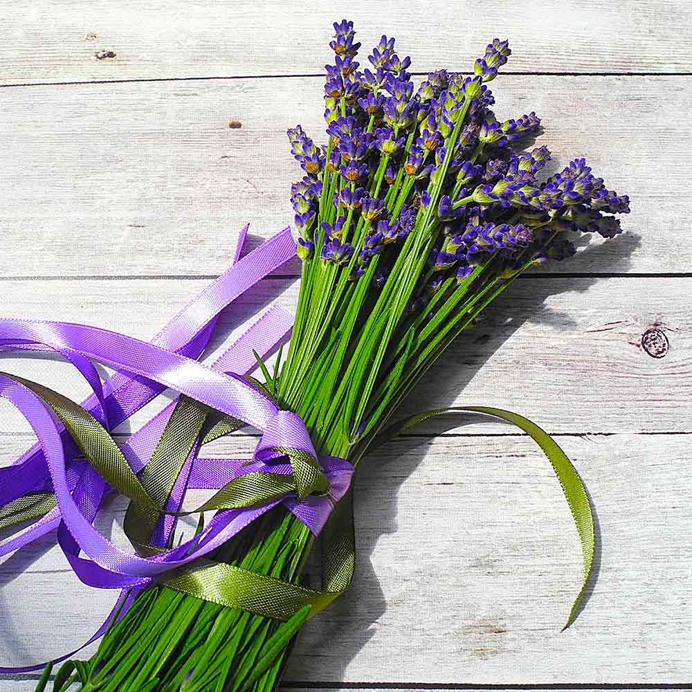 Цветок Лаванда Deep Purple