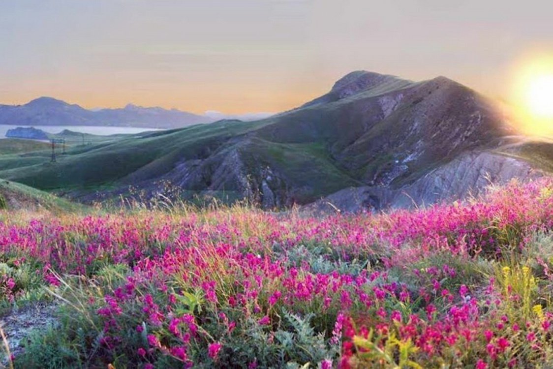 Горы Крыма Луга