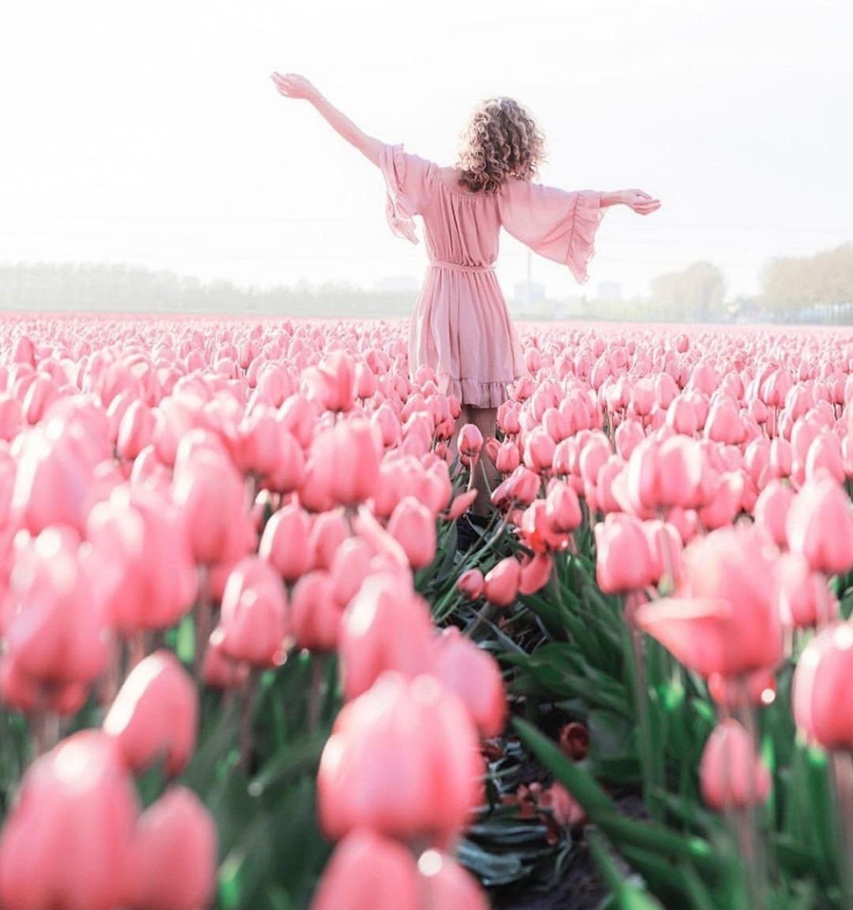 Ты радостью цвети. Поле тюльпанов. Девушка в поле тюльпанов. Девушка с тюльпанами. Фотосессия с тюльпанами.