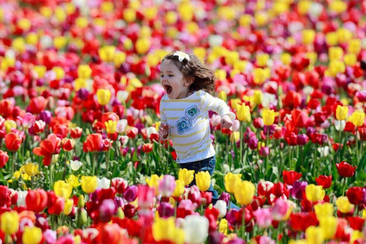 Фото с тюльпанами на улице. Дети с цветами. Цветы для детей. Тюльпан для детей.