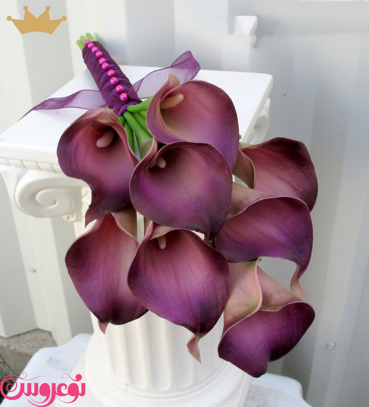 Калла Royal Plum