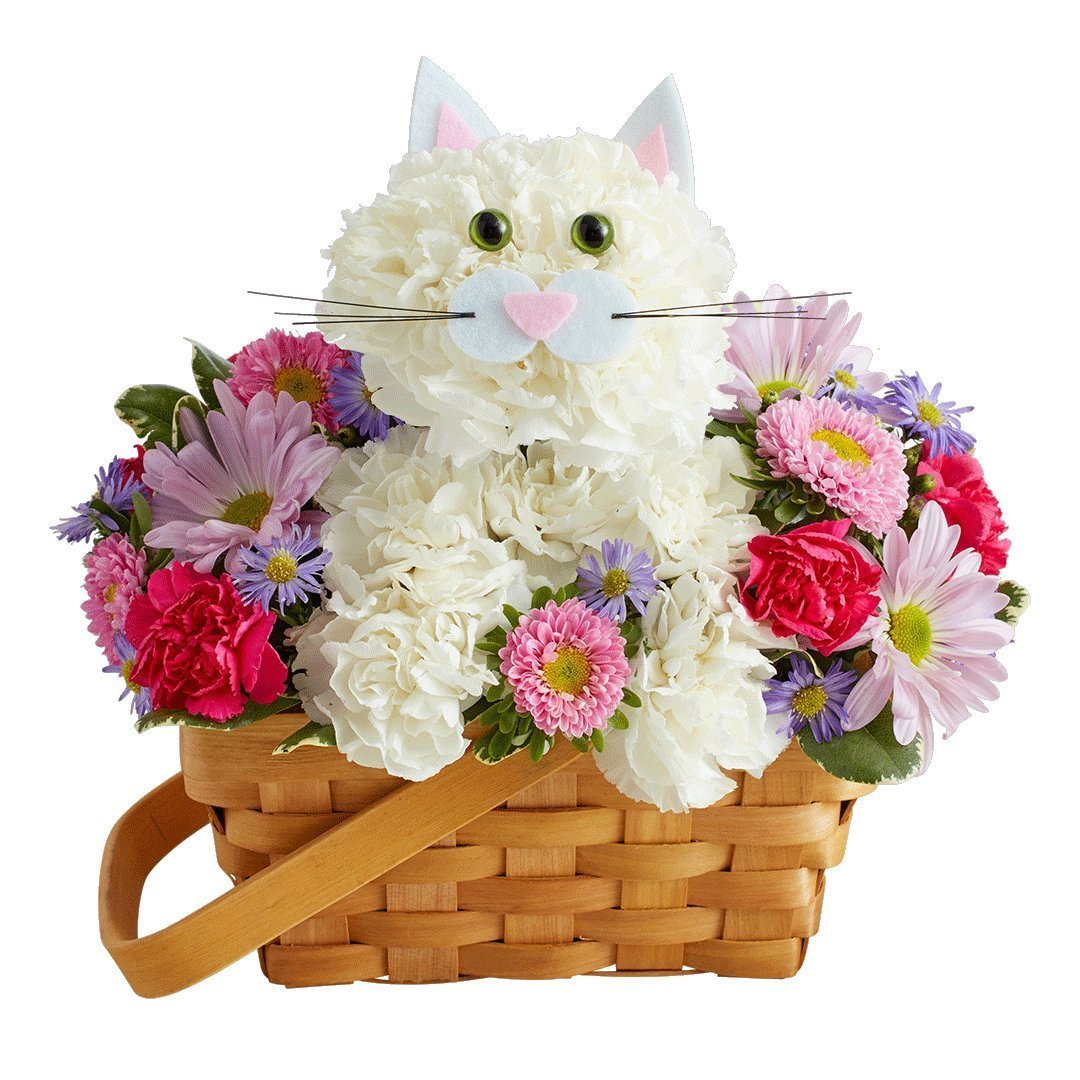 Букет котят