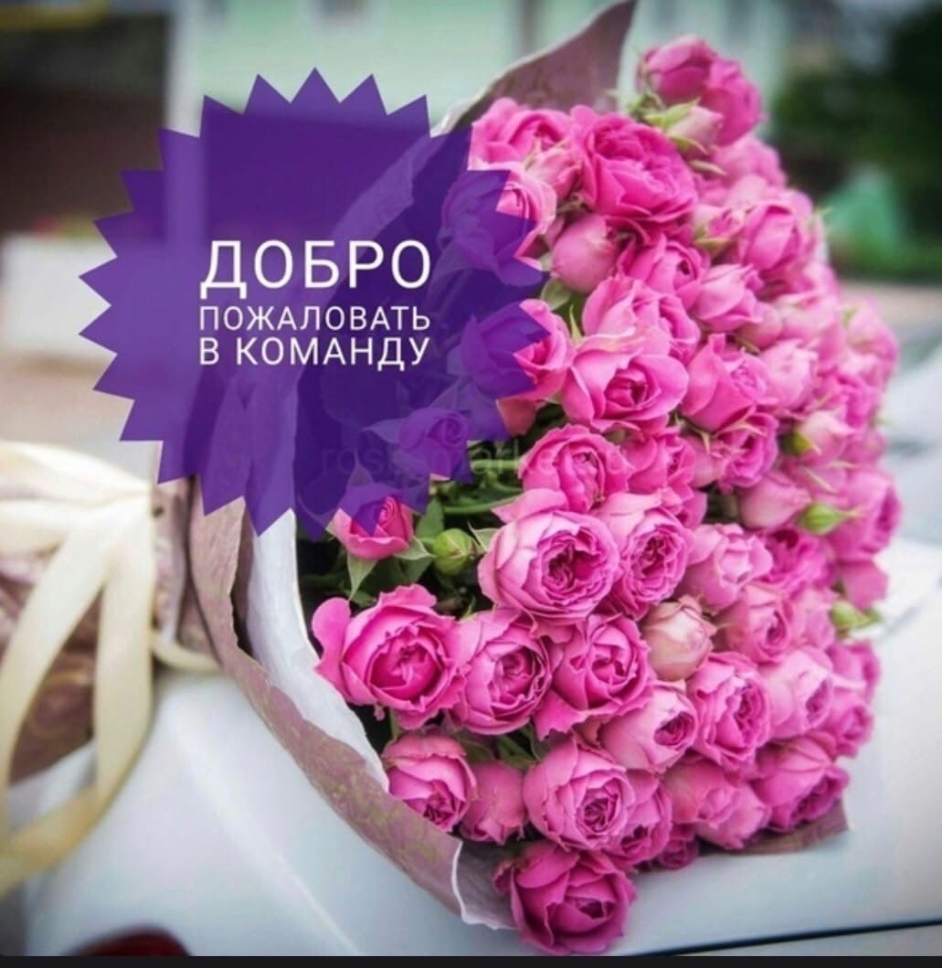 Добро пожаловать в нашу команду