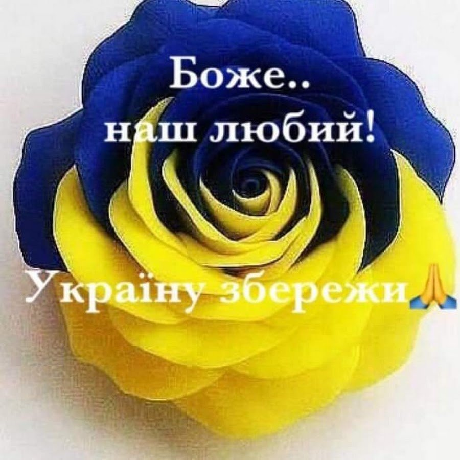 Желтые и голубые розы