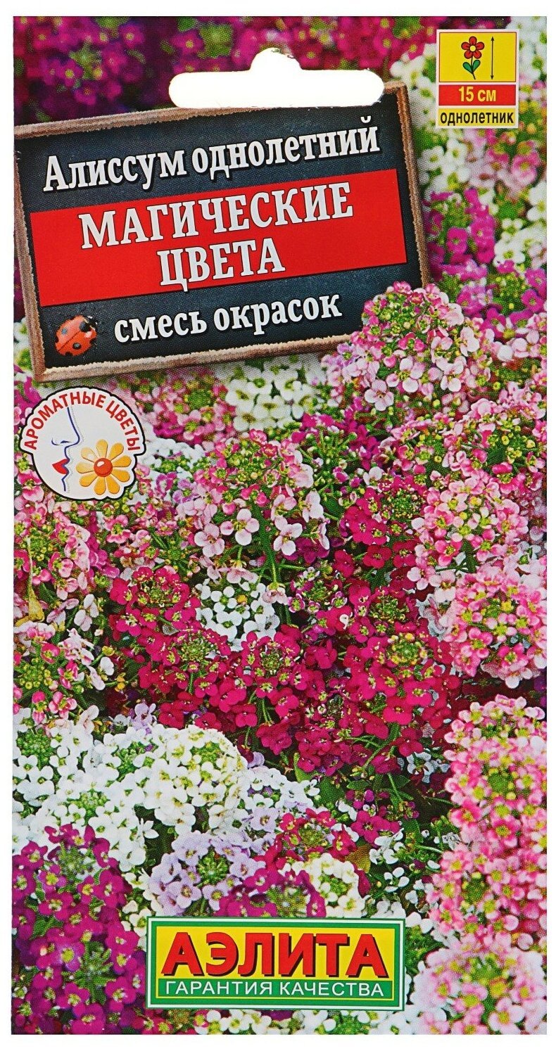 Алиссум семена Аэлита магические цвета