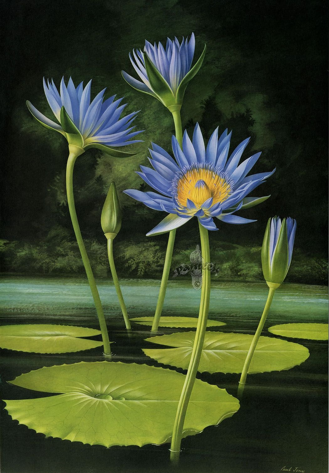 Paul Jones (1921-1997)