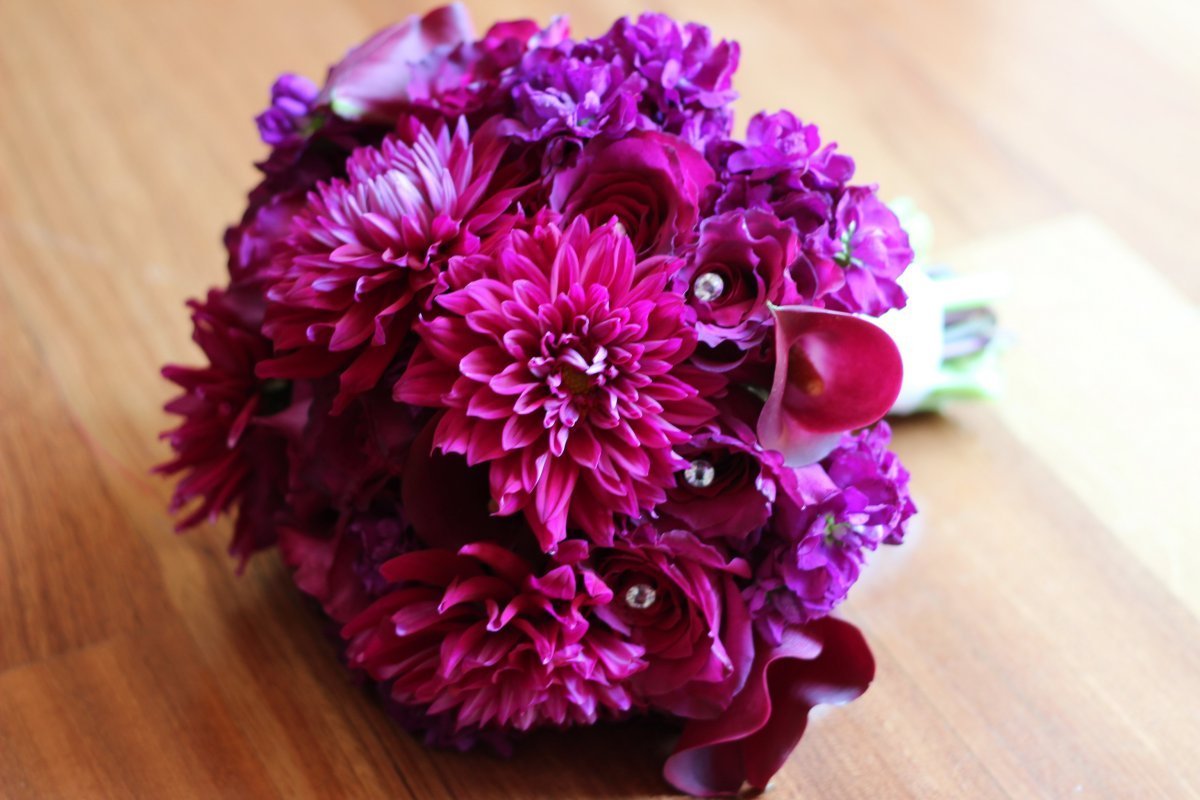 Георгины Purple Bouquet