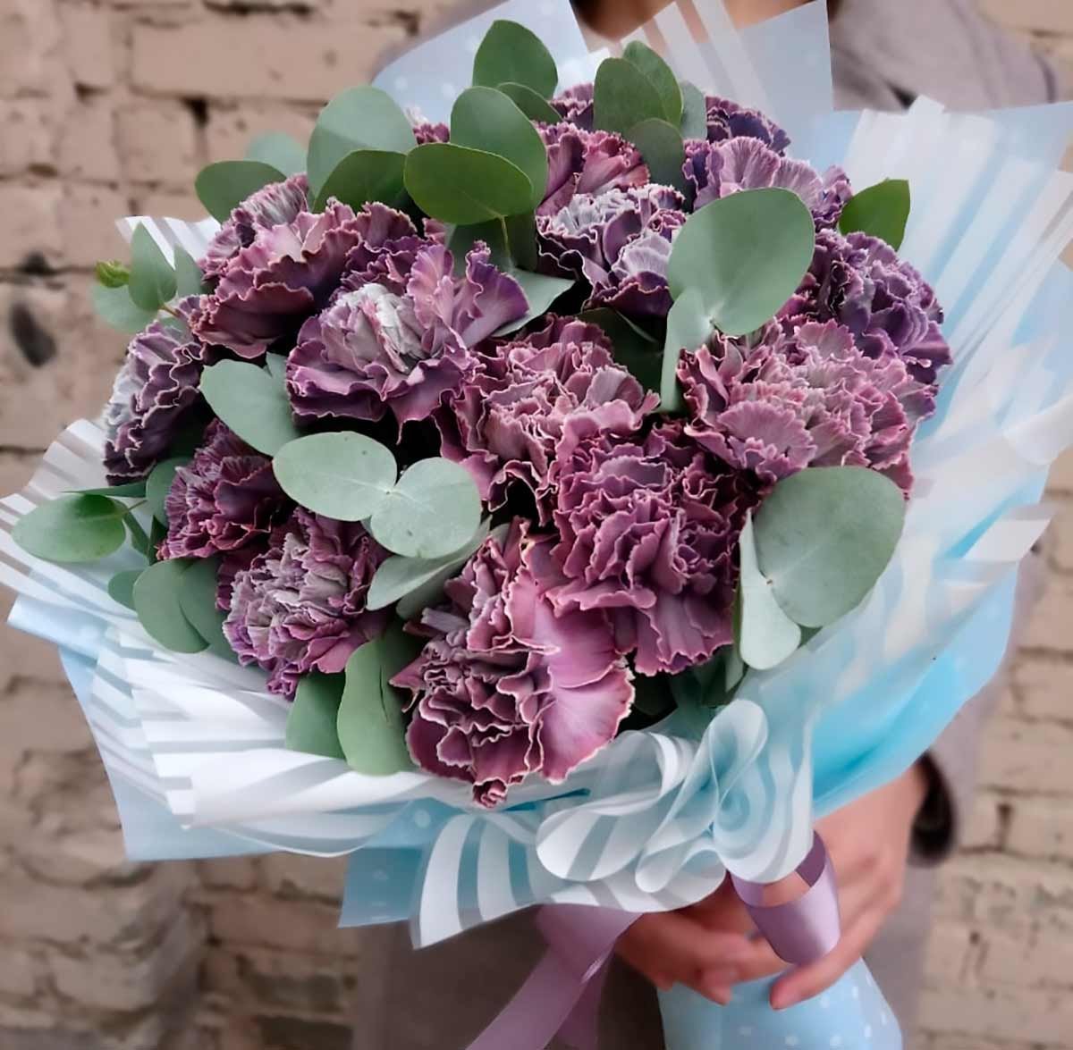 Диантус Блэк Молли