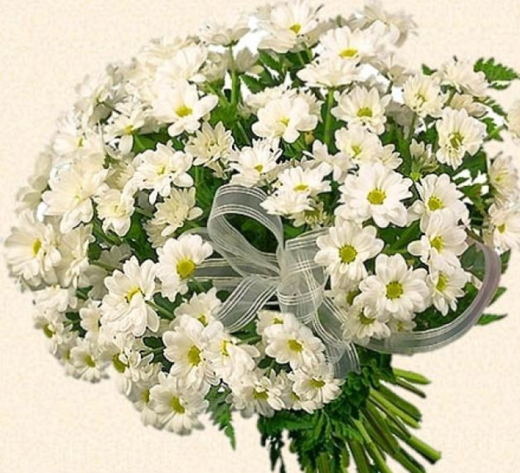 Цветы ромашки букет