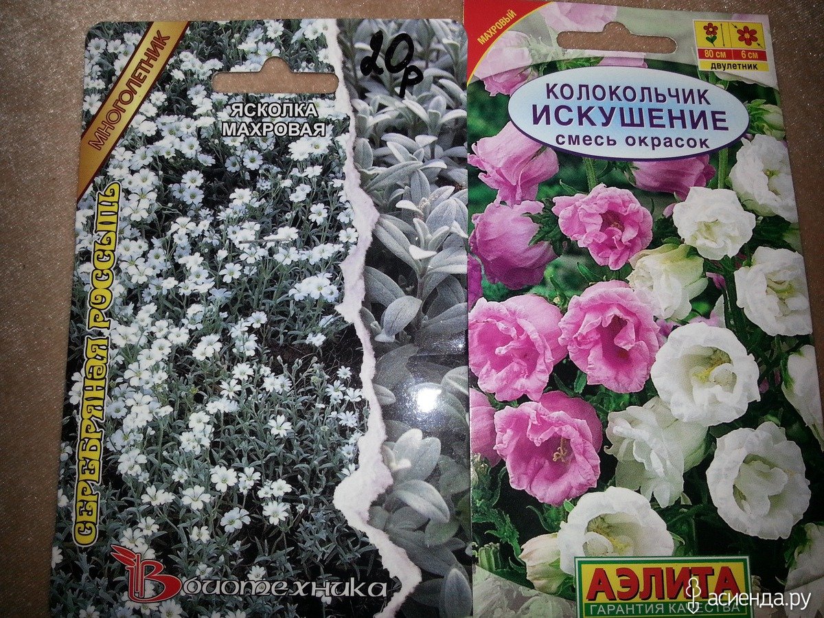 Колокольчик искушение смесь