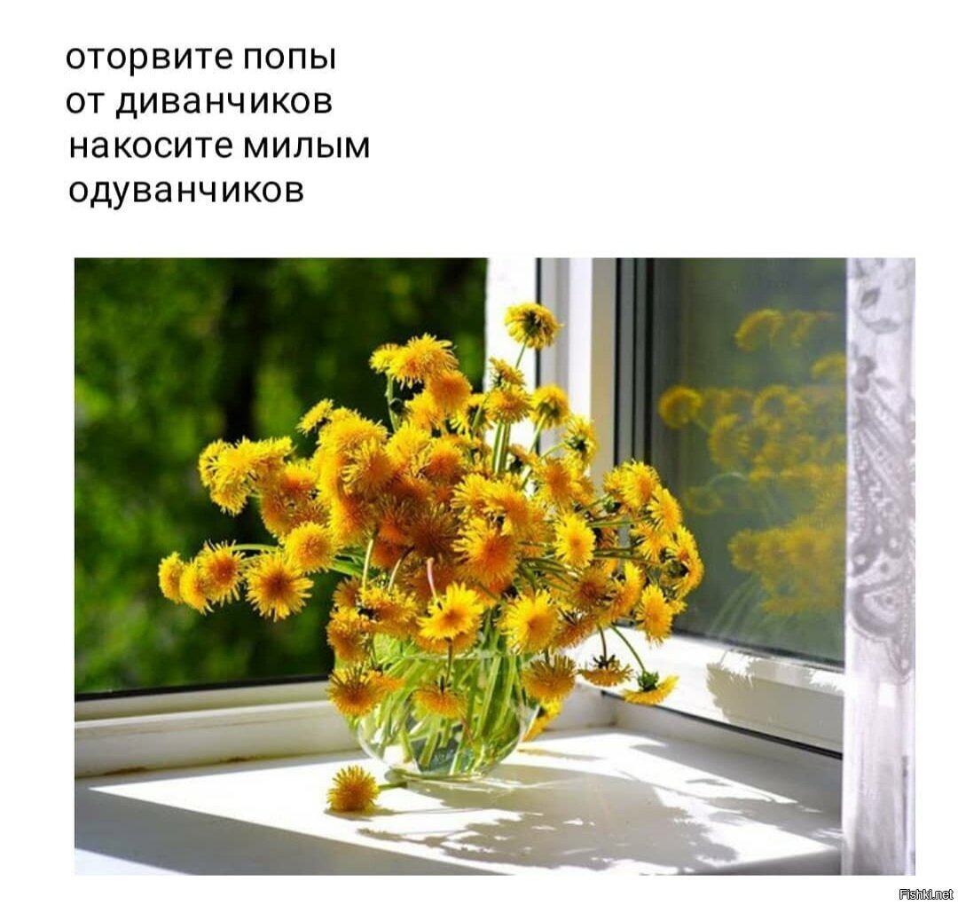Букет одуванчиков