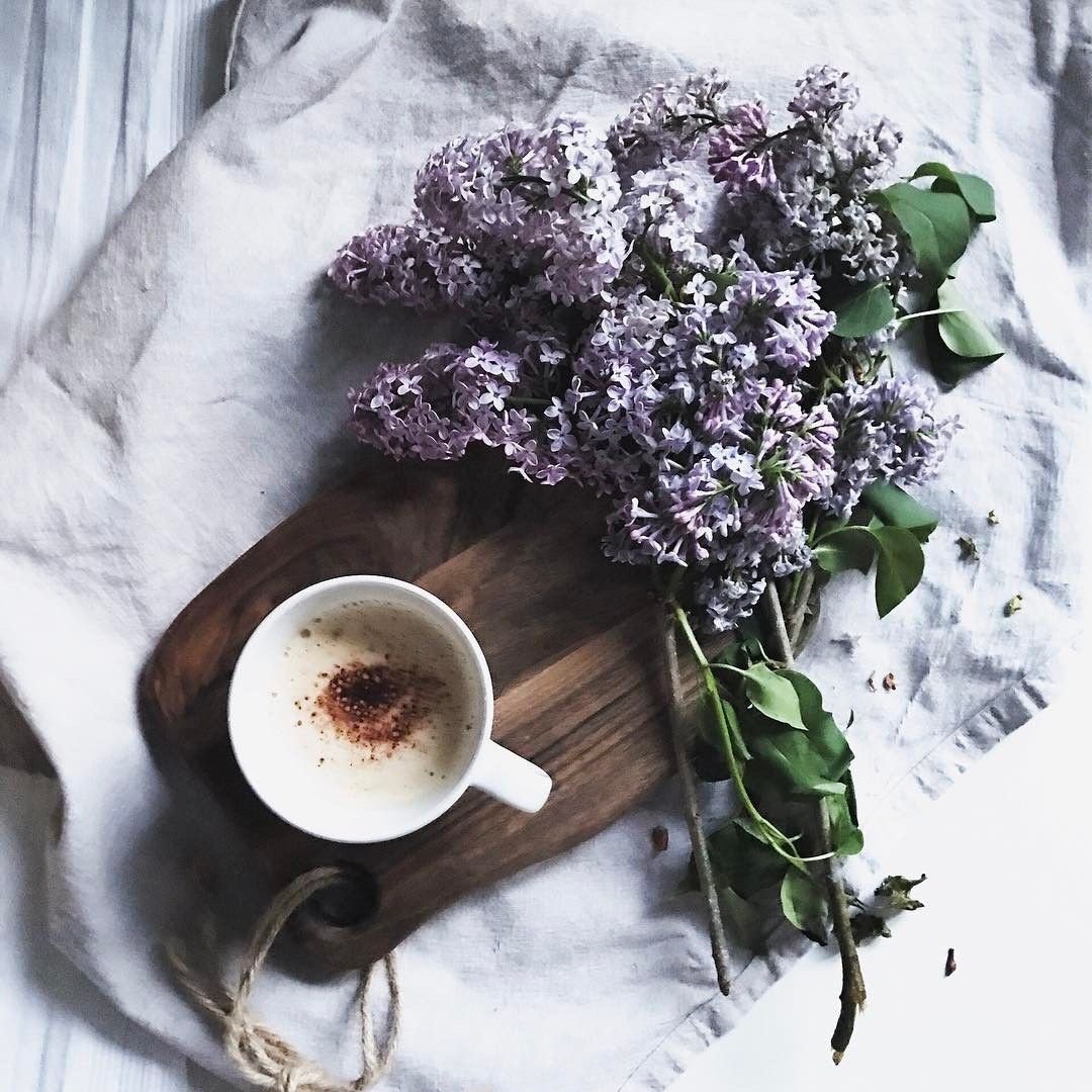 Цветы сирени и кофе