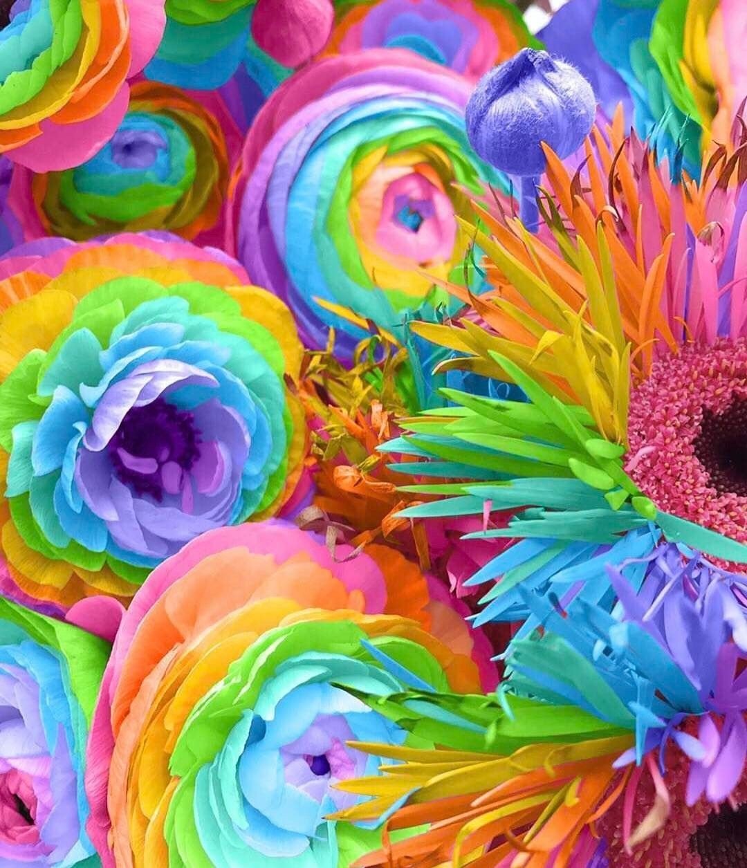 Яркие цветы