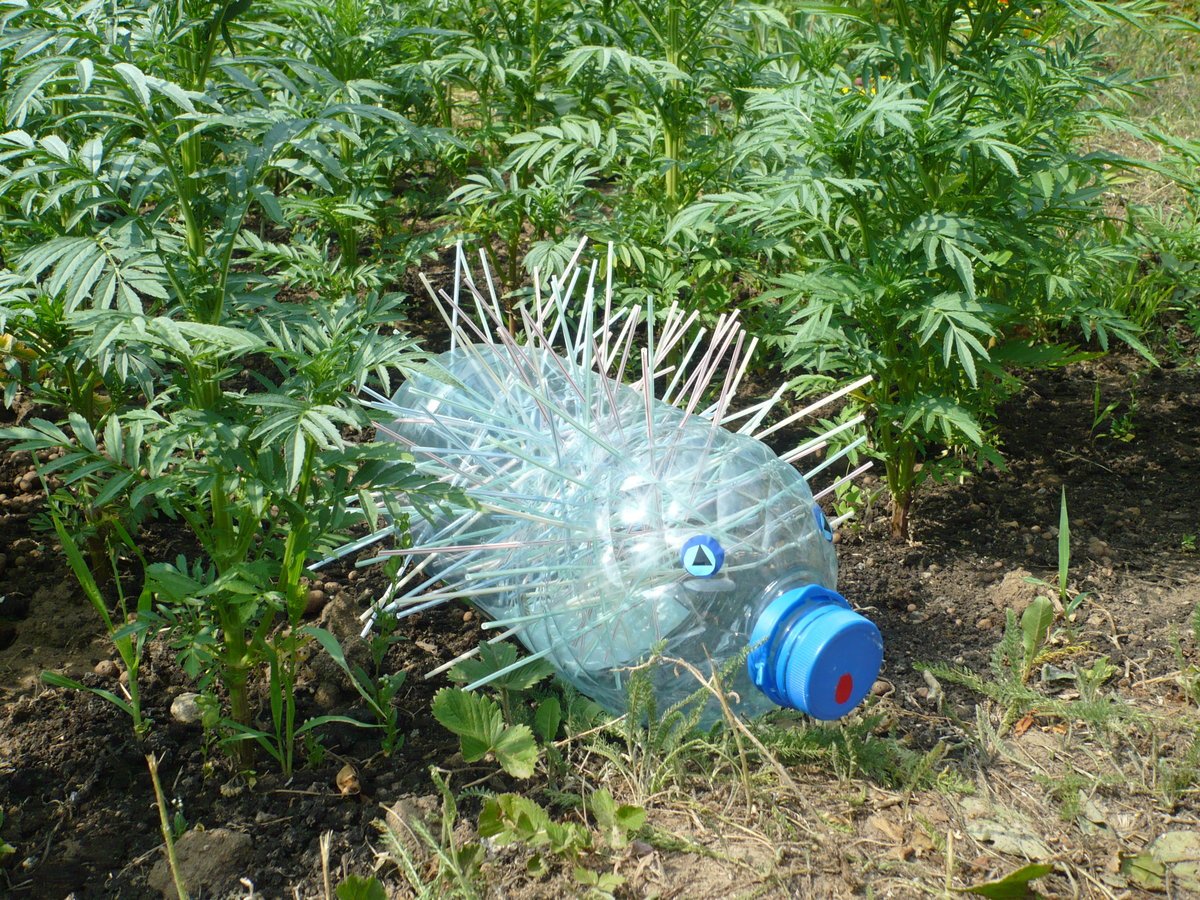 Ежик из пластиковых бутылок