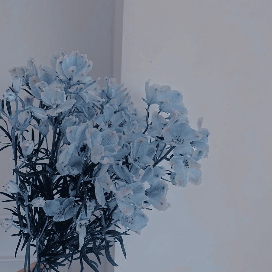 Alice Blue Color Эстетика