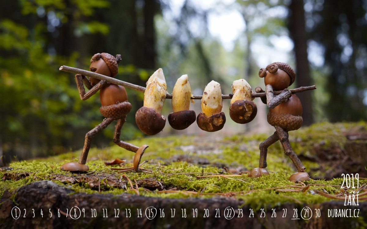 Человечки из желудей