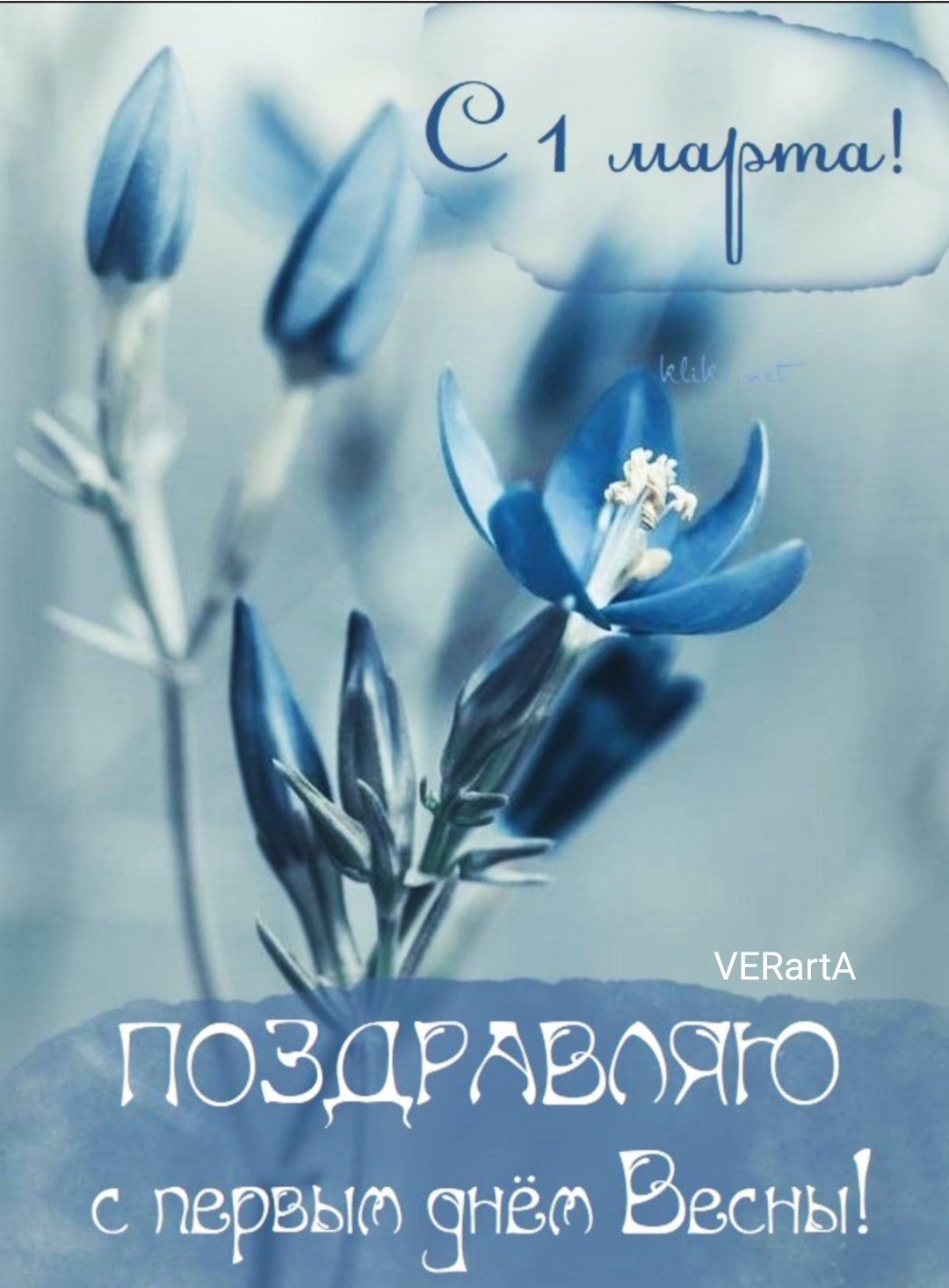 Серо голубая Эстетика