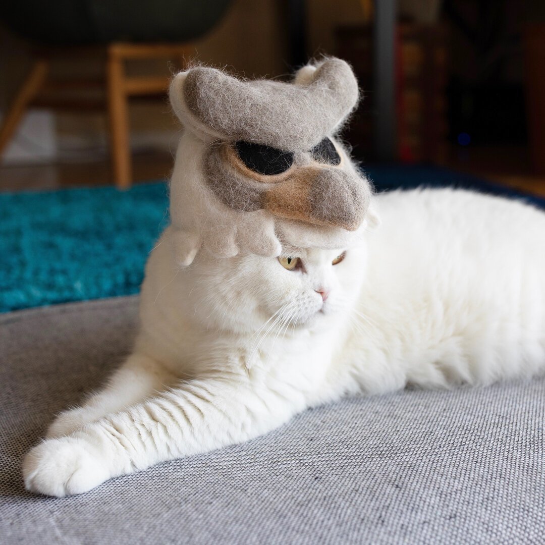 Шапочка из кошачьей шерсти