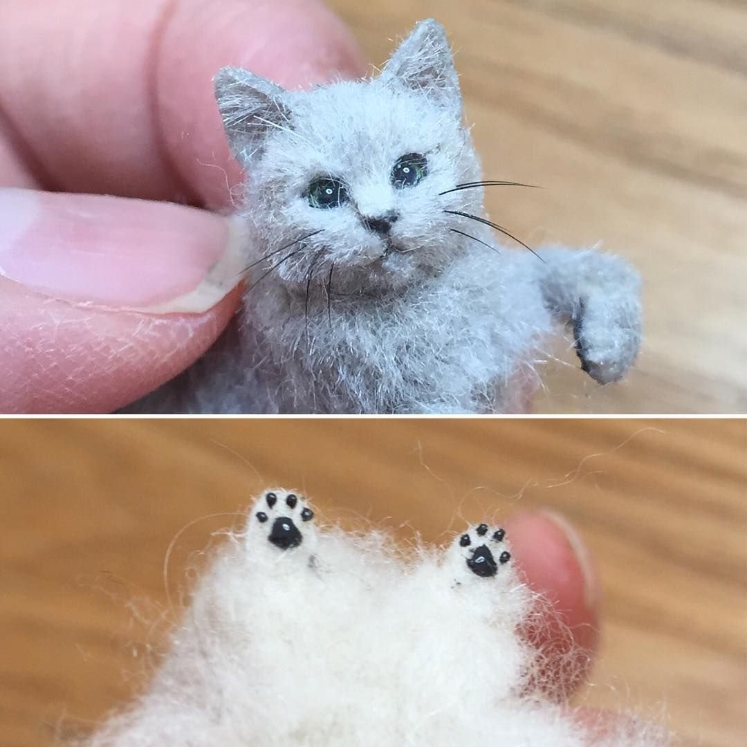 Маленький котик из шерсти