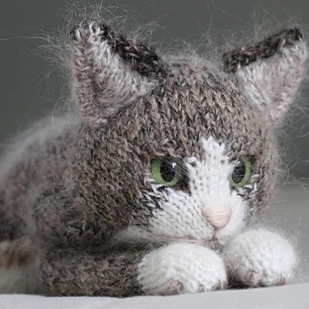 Вязаный кот
