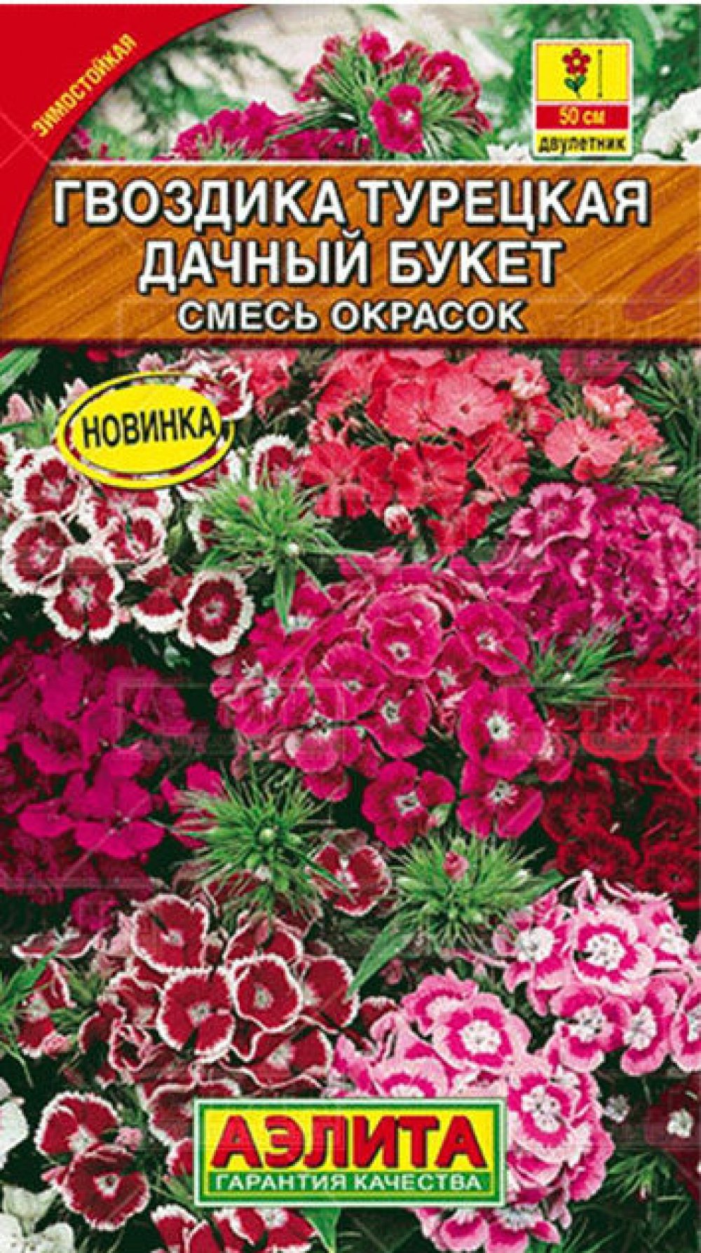 Гвоздика турецкая Аэлита
