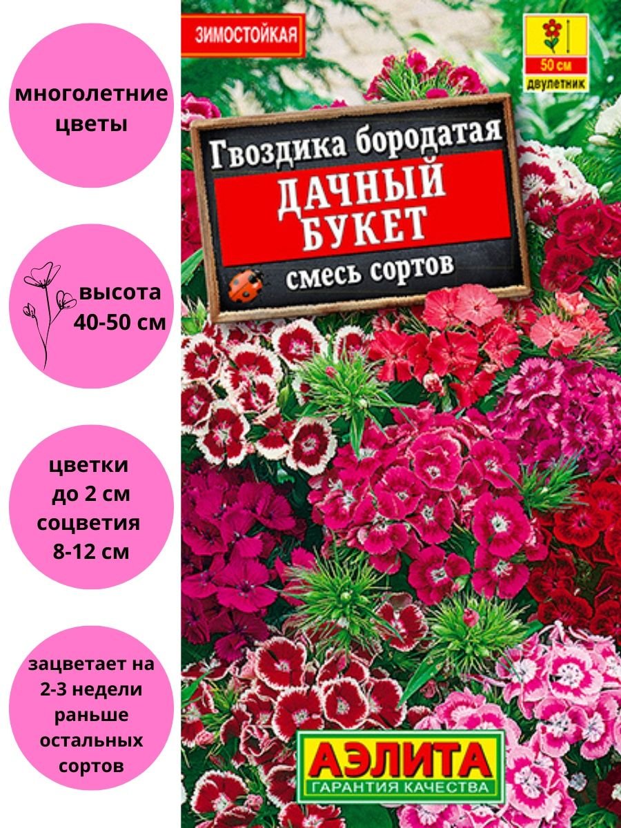 Семена Аэлита гвоздика турецкая дачный букет 0,3г,