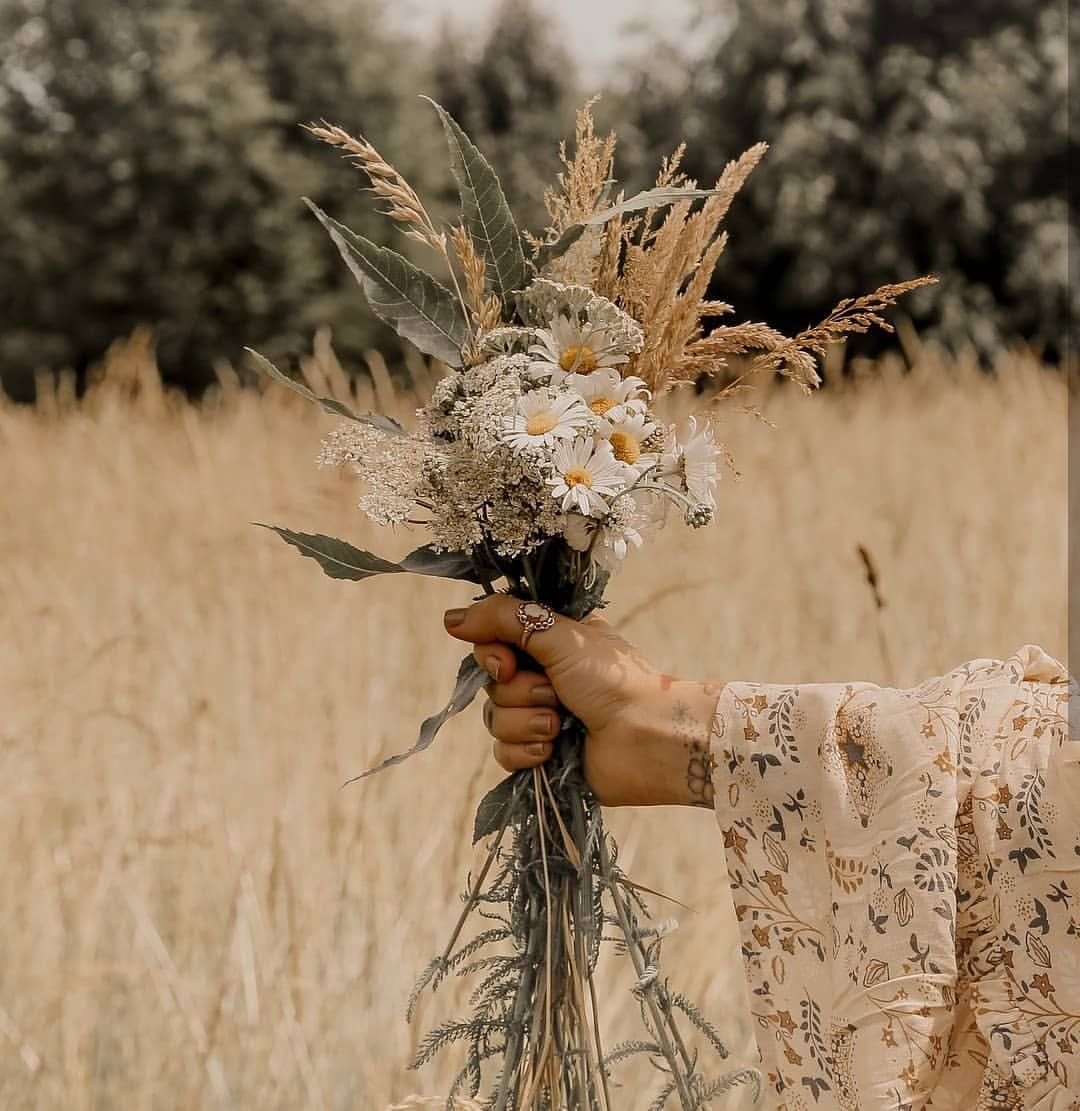 Полевые цветы aesthetic
