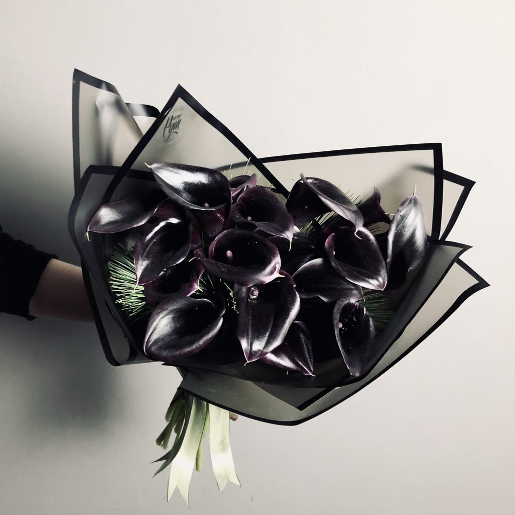 Черные каллы цветы