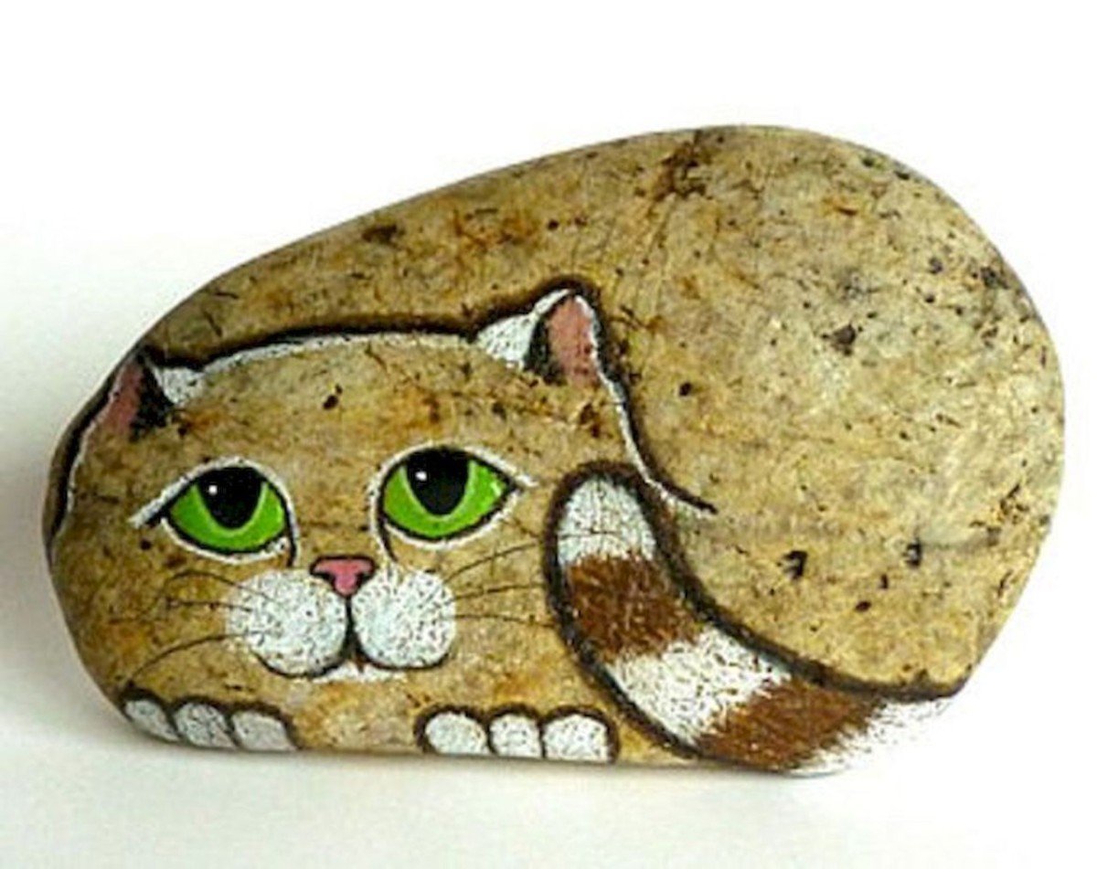 Котики на камнях