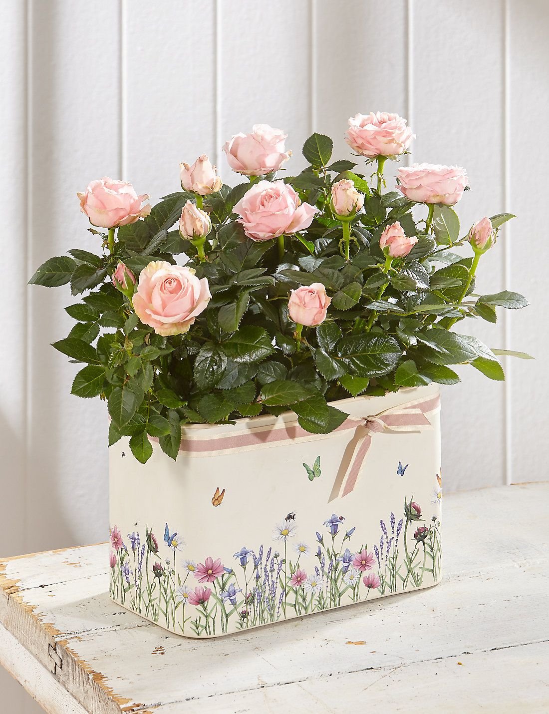Fresh Flowers and Plants delivered
