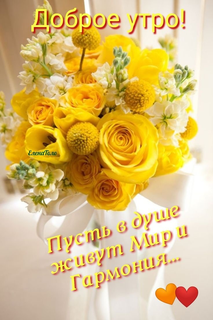 Жёлтый цветок