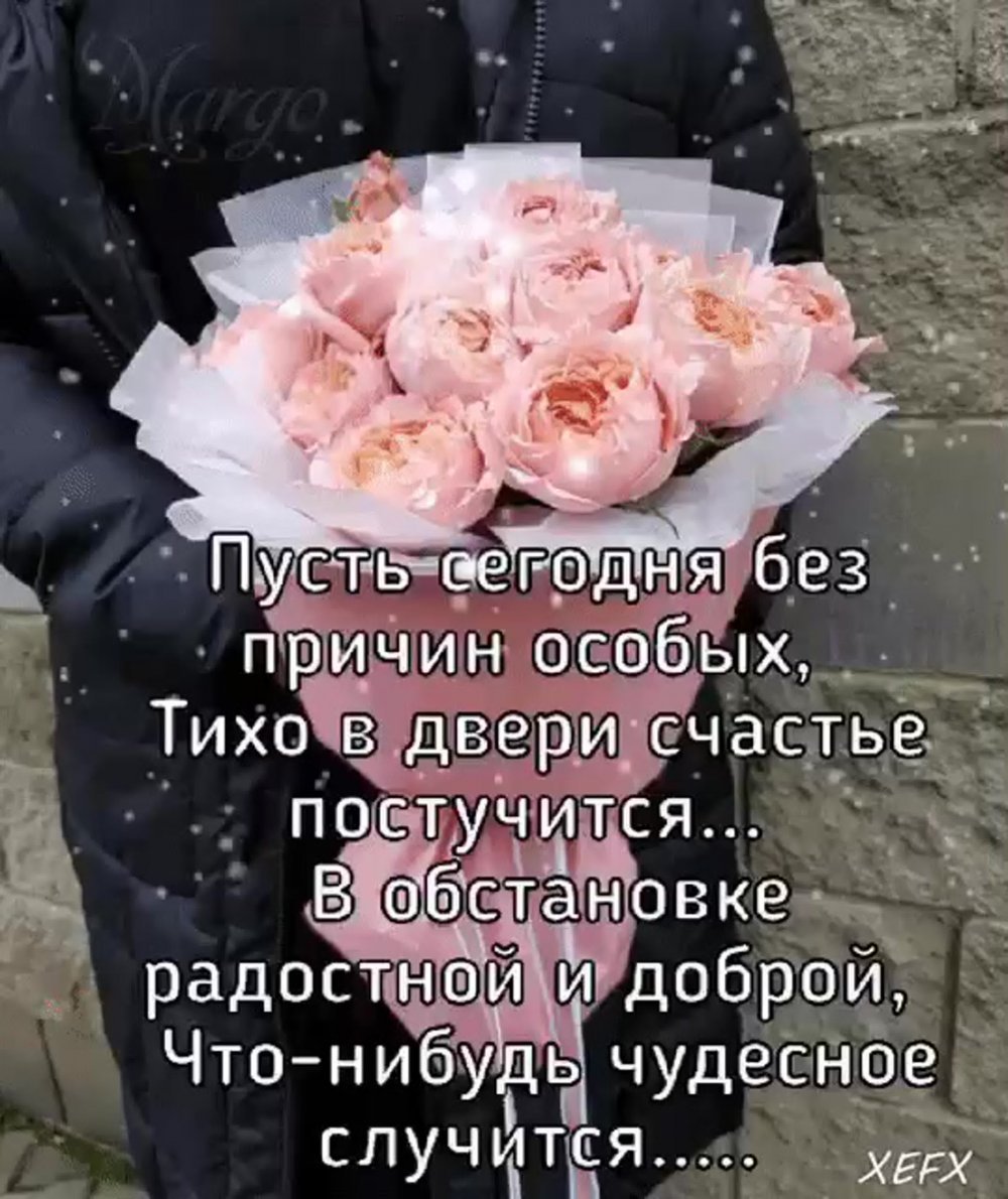 Цветы без повода