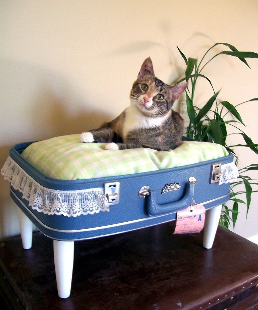 Лежанка для кошки из чемодана