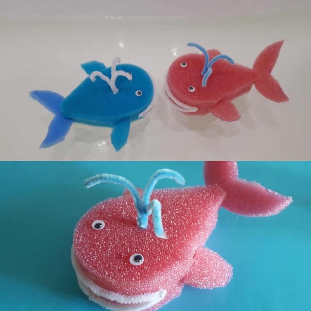 Поделки из губки