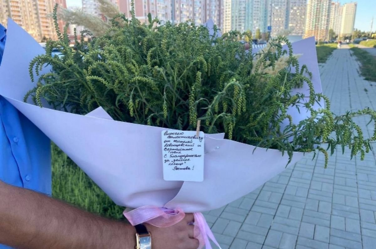Амброзия полыннолистная
