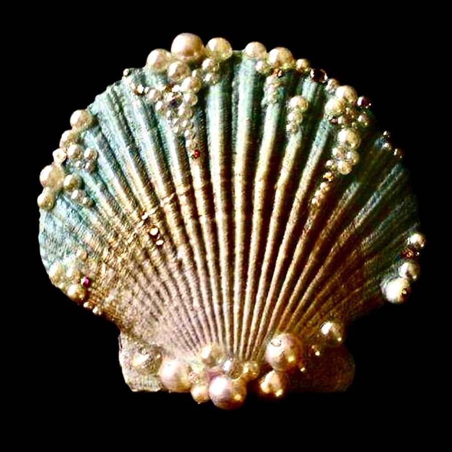 Морские раковины с жемчугом