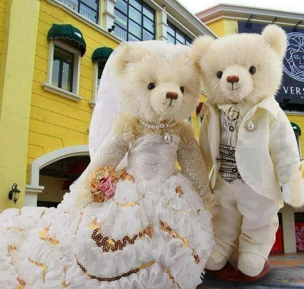 Тедди айик расми