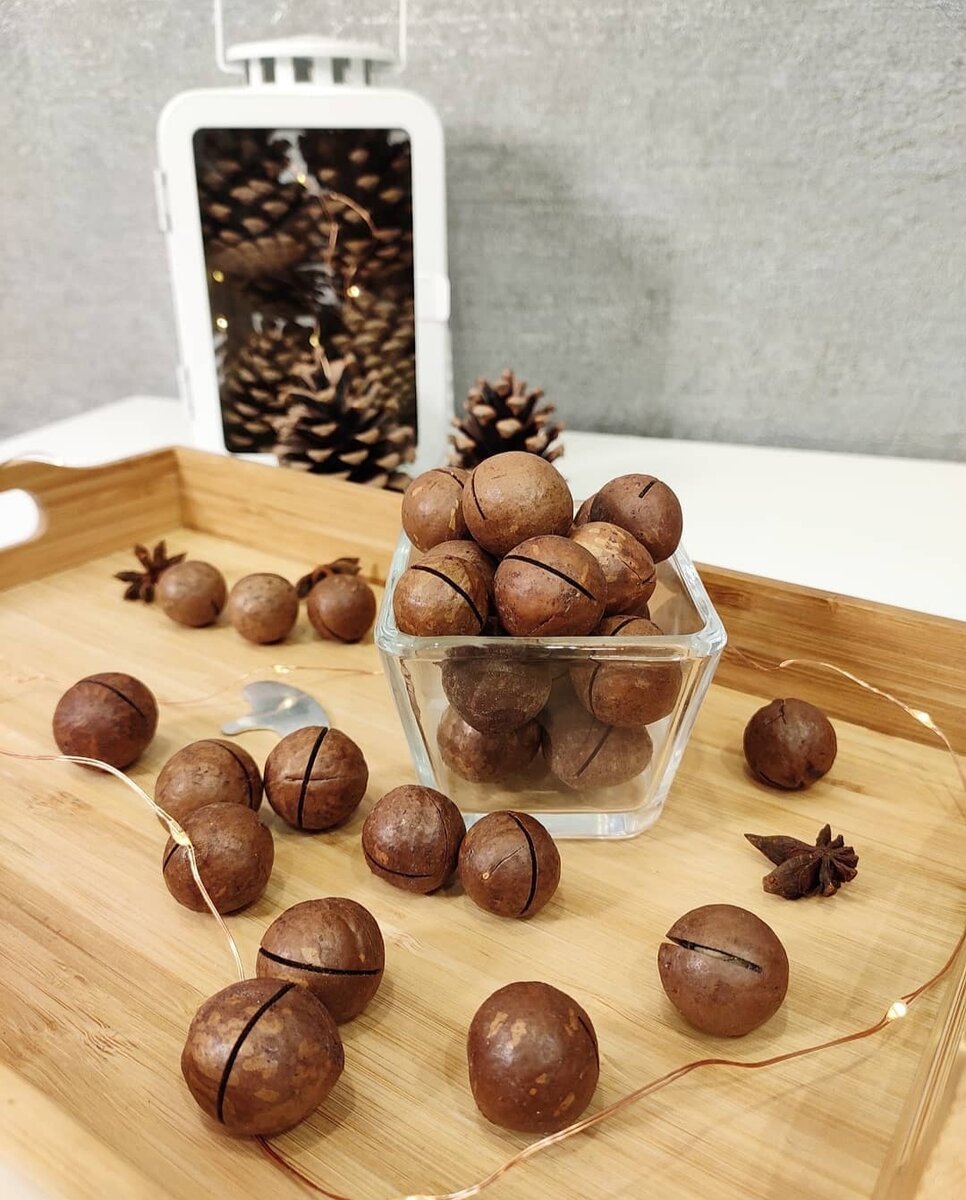 Поделки из скорлупок макадамии