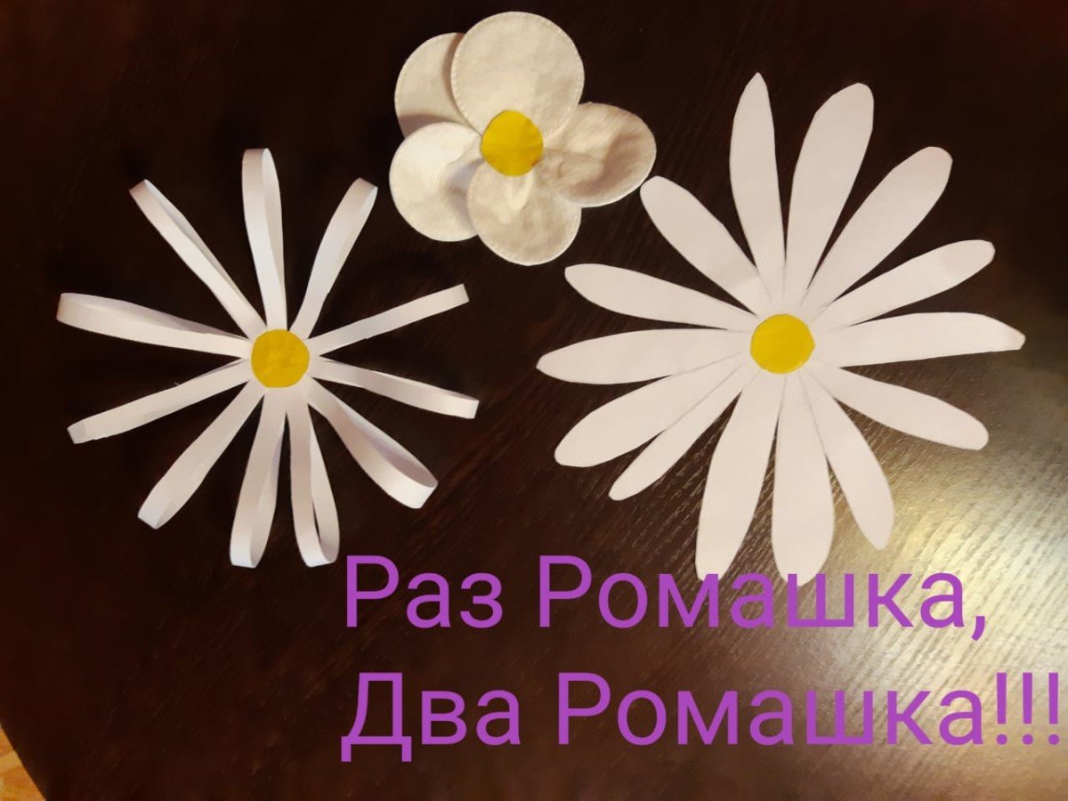 Раз Ромашка 2 Ромашка