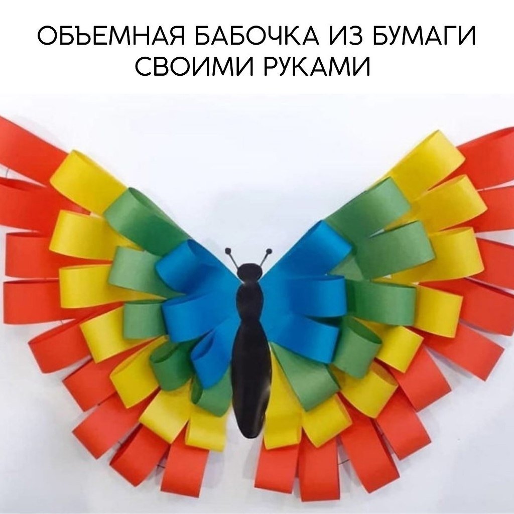 Объемная бабочка из цветной бумаги